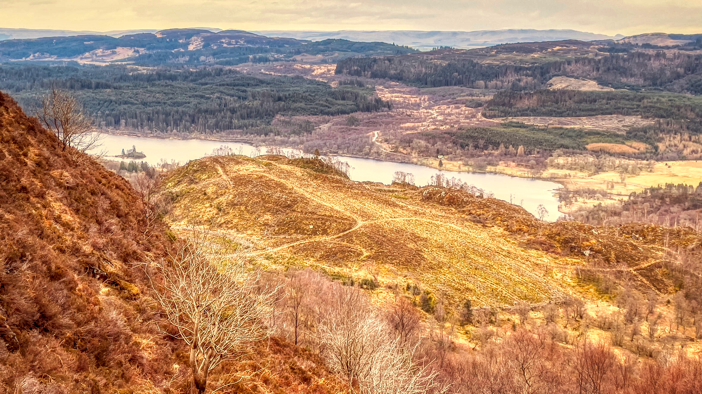 ⁨The Great Trossachs, Scotland