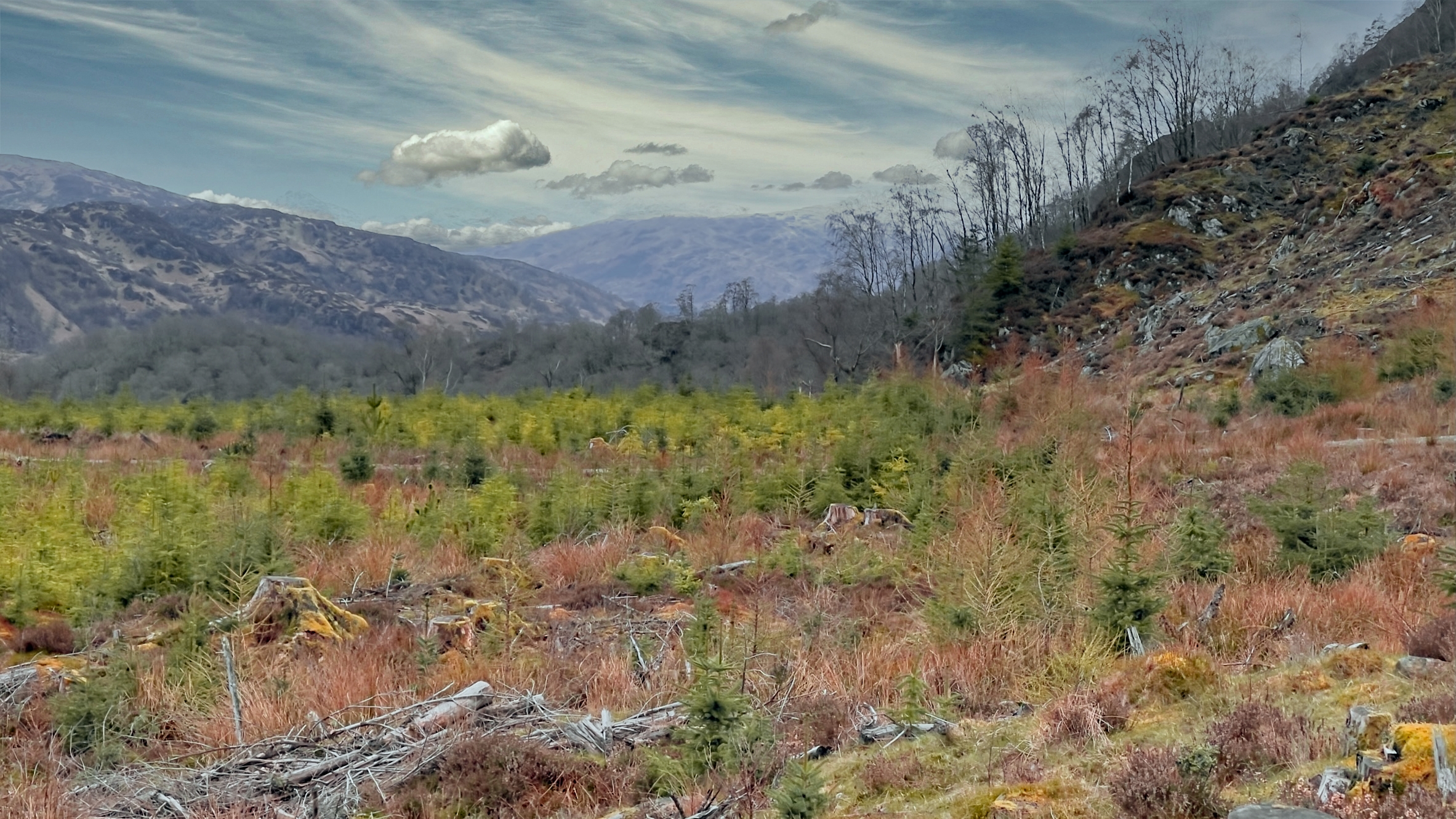 ⁨The Great Trossachs , Scotland