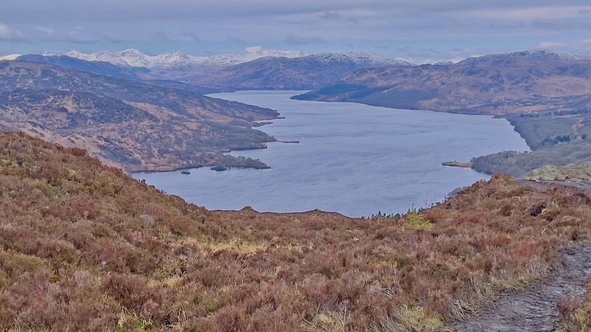 ⁨The Great Trossachs, Scotland